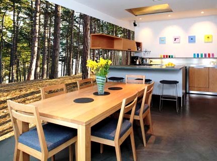 фотообои расширяющие пространство для кухни фото природа