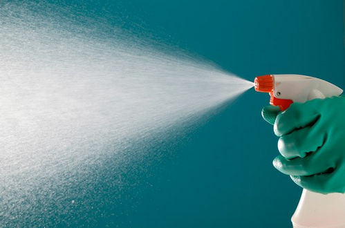 как быстро снять бумажные обои